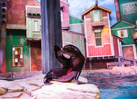 SunTrust Pier 225 | Sea Lion "Hello" | Georgia Aquarium