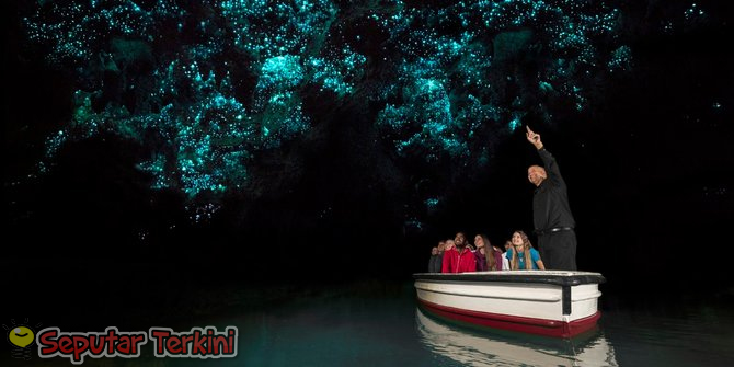 GUA WAITOMO GLOWWORM