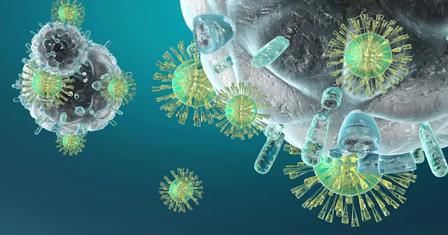Drug Harnesses Immune System to Fight Lung Cancer