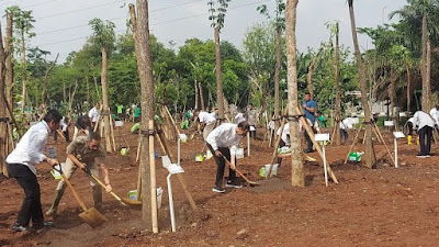 Masuk Musim Hujan, Presiden Jokowi Serukan Gerakan Tanam Pohon Serentak