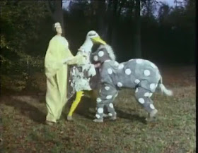 pantomime horse etc.