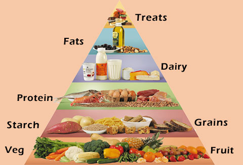 usda food pyramid 2011. The food pyramid is a helpful