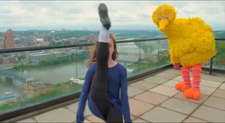 Big Bird's Road Trip. Big Bird video chats from Pittsburgh, Pennsylvania. He chats with Marlee. Sesame Street Episode 5003, Pigs for Another Day, Season 50.