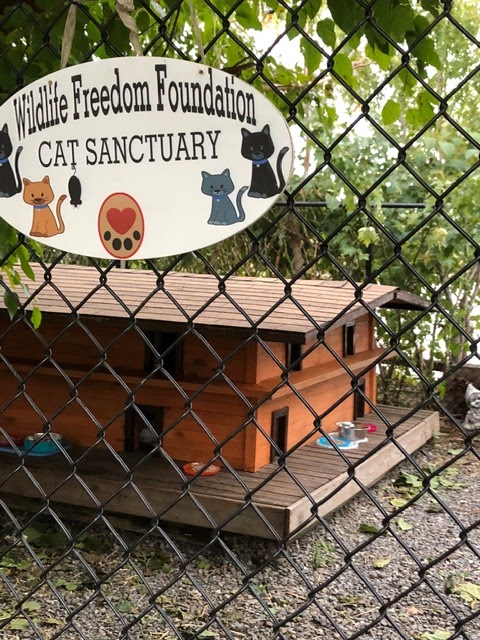 Roosevelt Islander Online Roosevelt Island Wildlife Freedom Foundation Says Cat Sanctuary To Be Evicted From Southpoint Park With No Immediate Place To Go Rioc Says Cat Sanctuary Will Have New And - roblox mta bus brooklyn division bus 1105 b46 bus ride