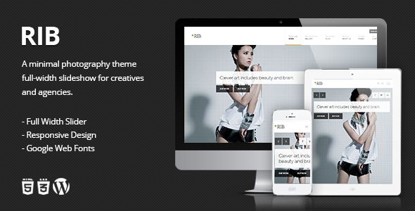 Creative WordPress Themes that was released in August 2013