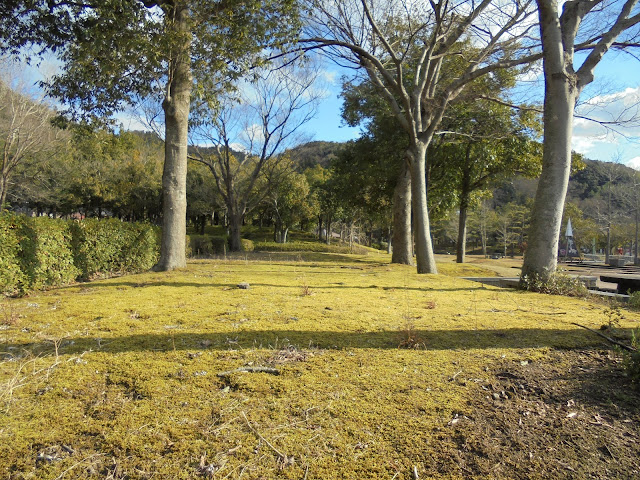 東郷湖羽合臨海公園あやめ池公園