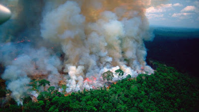 Incendios consumen al Amazonas, el "pulmón del mundo"