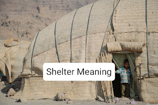 Shelter meaning in English