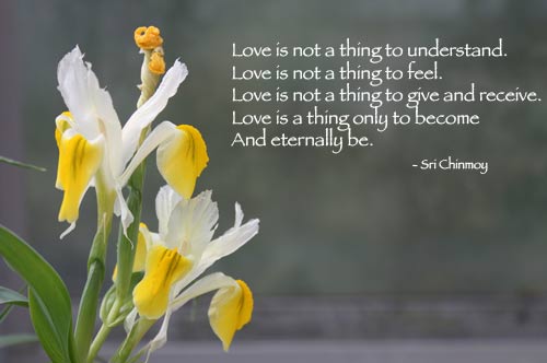 Short Poems About love and love quotes