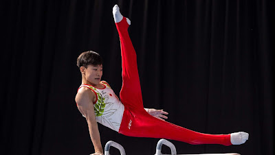 Techniques of gymnastics