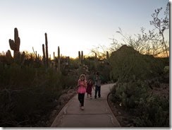IMG_4557