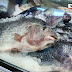 Procon registra diferença de até 221% nos preço dos pescados em Maringá