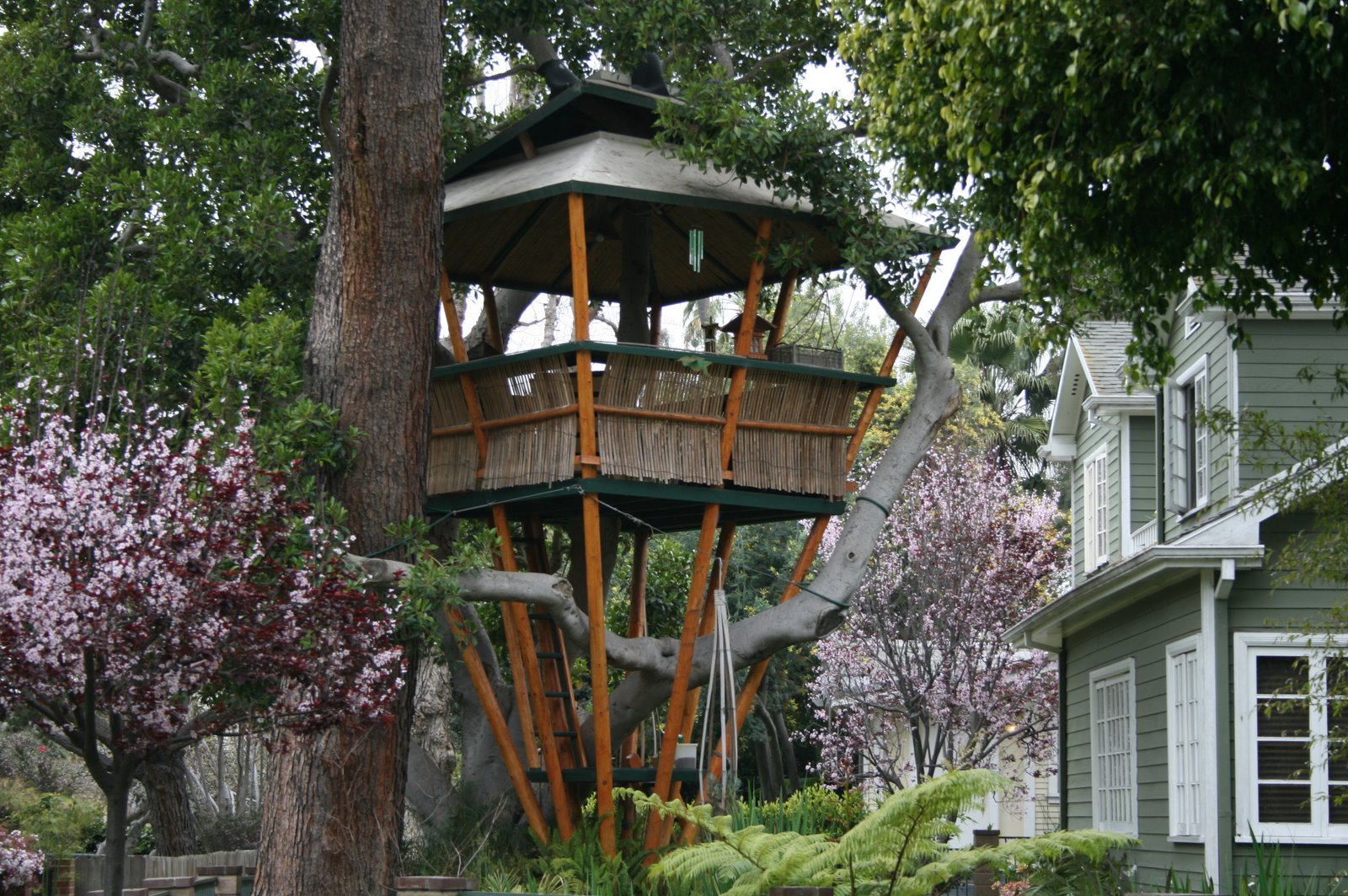 tree house pics tree house images tree house pics tree houses pictures ...