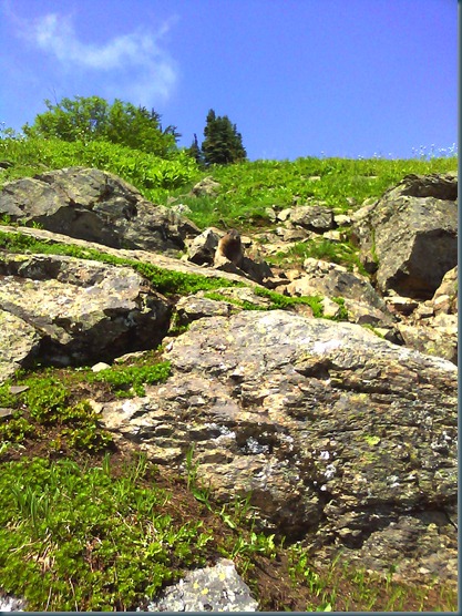 CIMG0152