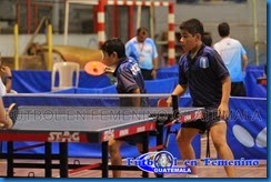 VI Juegos Escolares Primario de Tenis de Mesa del CODICADER (4)