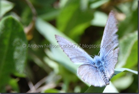 Copy of DSC_0501