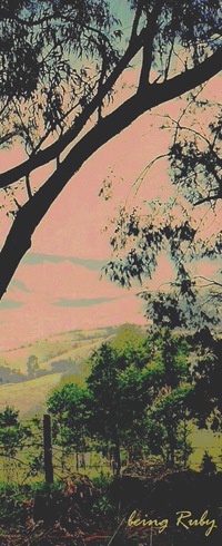 BeingRuby - Tenterfield - 9-2c sg