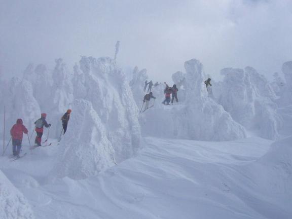 monstros de neve no japão árvores