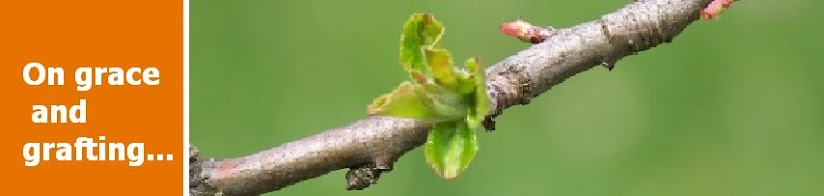 On grace and grafting...