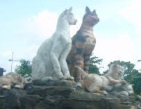 More cats in town, Kuching, Sarawak, Borneo Island