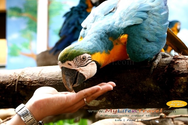 Langkawi Wildlife Park