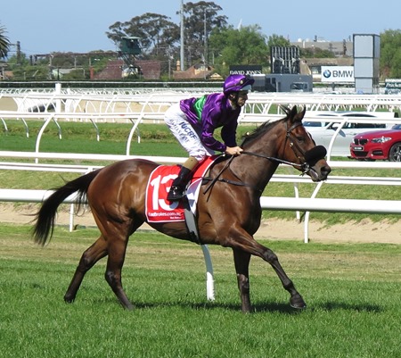 race 5_sacred eye 2
