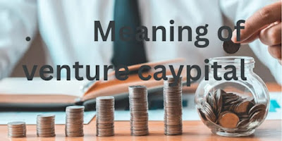 what is venture capital