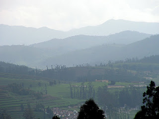 Ooty Hillstation