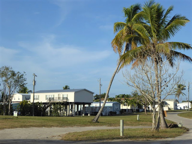 everglades city in florida