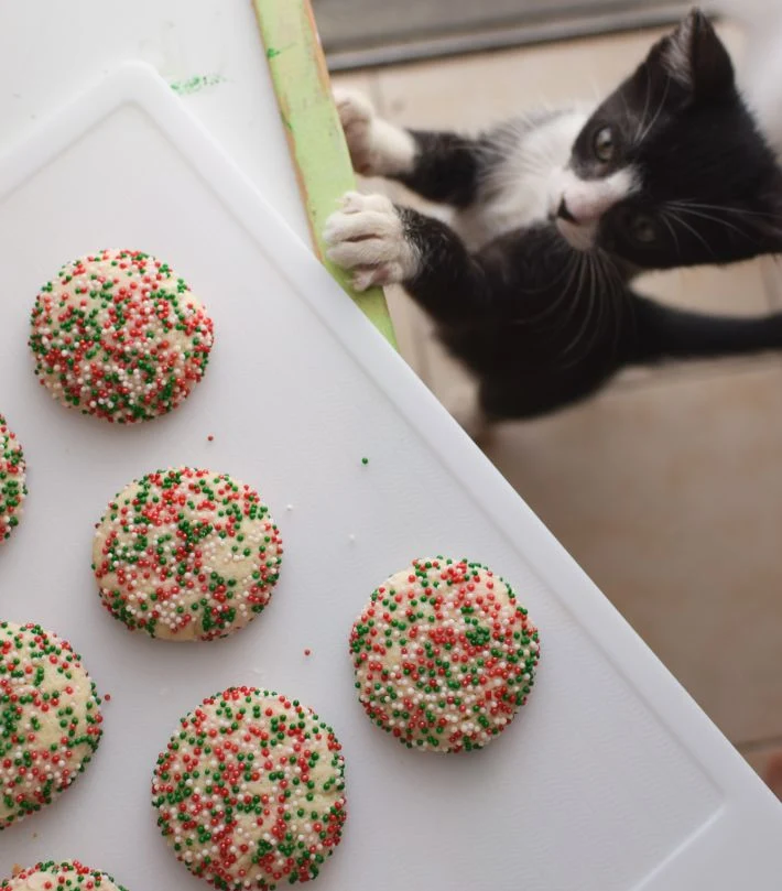 Galletas confetti (y un gatito queriendo comérselas!)