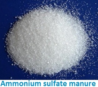 What is ammonium sulfate fertilizer?