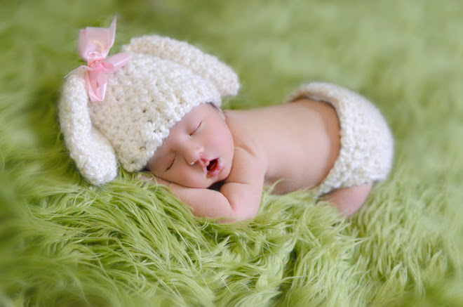 Newborn Lamb Set