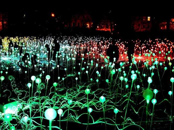 Field Of Light Installation by