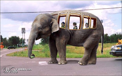 funny transport