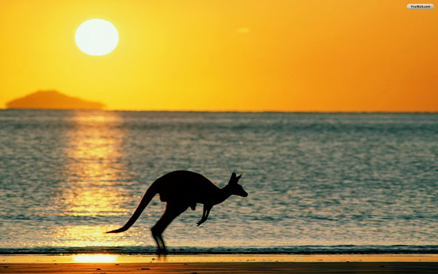 Australian Beach Screensaver