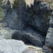 View album