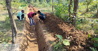 रायपुर : नरवा विकास वनांचल में बिखेरती बहार