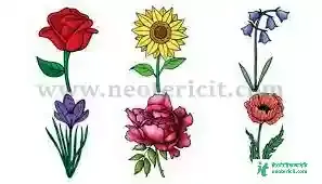 Flower picture drawing - Flower picture - Flower pic 2023 picture - Flower picture download - Various flower pictures - fuller chobi - NeotericIT.com - Image no 15