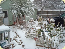 DSC02846