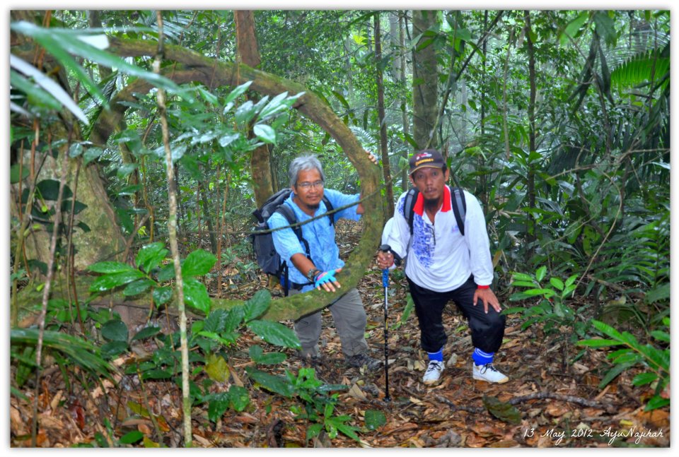 Kantongku: PONINg KE 140 ( Mendaki Gunung Tampin.