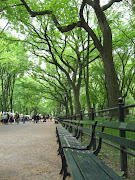 Wordless Wednesday: Central Park. The Central Park Mall (central park mall)