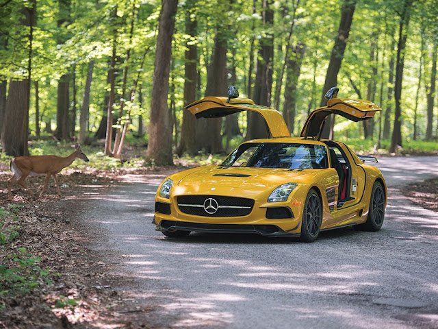 2014 Mercedes-Benz SLS AMG Black Series