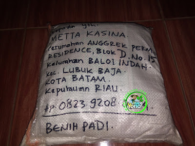 Benih pesanan METTA KASINA Batam, Kep. Riau  (Setelah Packing)   