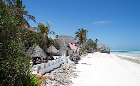zanzıbar-tanzanya-afrıka-travel-tatıl-world-ada-holıday-honeymoon
