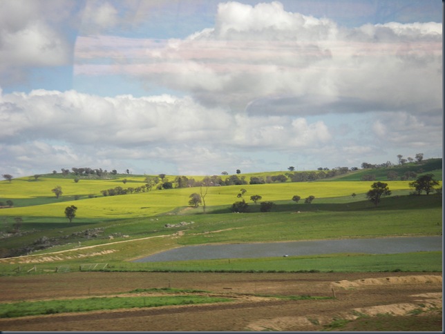 IMGP5926