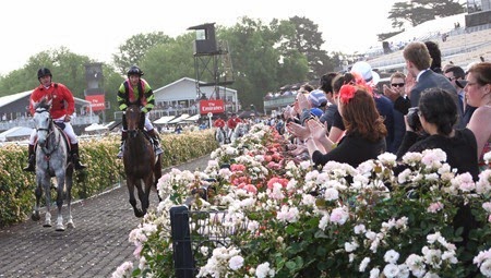 race 8_suavito 5 race 8_suavito 5