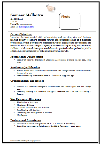 Professional Chartered Accountant Resume Sample Doc