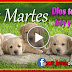 🌺Dios te Bendiga - Feliz Martes🌺 Que en este día puedas encontrar, paz, esperanza, fe y sobre todo mucho Amor 