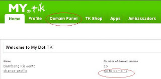 Merubah Blogspot jadi domain dot tk