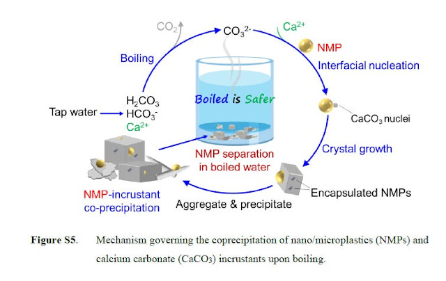 bollire-acqua-di-rubinetto-soluzione-riduzione-assorbimento-microplastiche-nanoplastiche